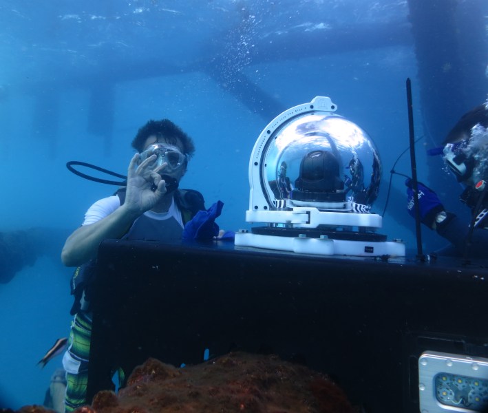 A diver with Explore.org working on installing the Shark Cam. 