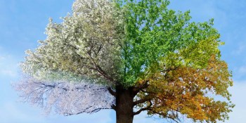 Managing the numbers of a seasonal startup: When to spend and how much