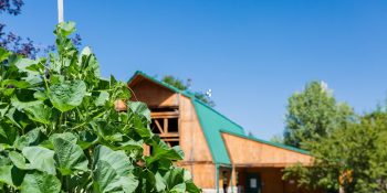 Surprise: Agriculture is doing more with IoT Innovation than most other industries