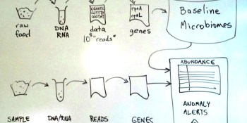 IBM, Mars see gene sequencing as key to protecting the global food supply