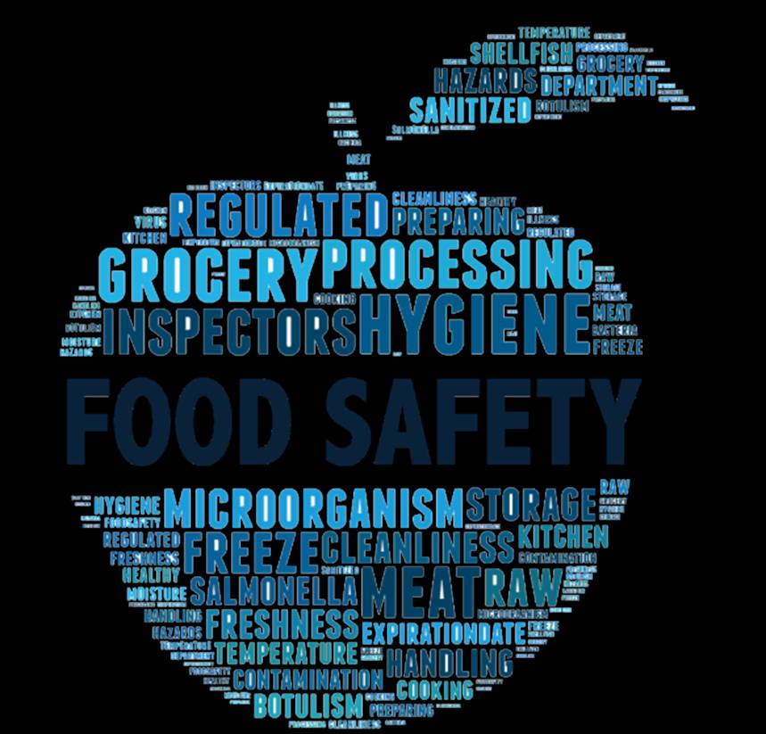 Food Safety Word Cloud