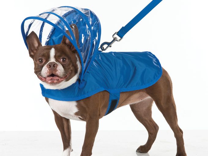 doggie raincoat