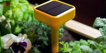 7 crazy, awesome gadgets we found at CES 2015