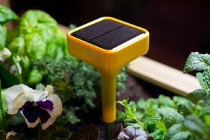 The Edyn smart garden gadget
