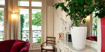 Parrot Pot waters your indoor or outdoor plants for you (video)