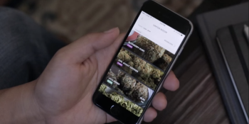 Y Combinator backs marijuana-delivery startup Meadow, its first investment in the industry