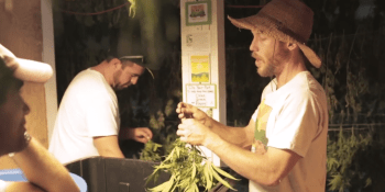 Flow Kana brings social to the medical pot economy