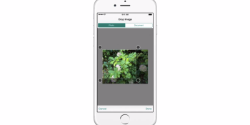 Microsoft’s Sway app for iPhone now lets you drop in videos, links, and bullet points