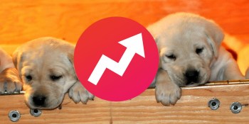 BuzzFeed launches Cute or Not: It’s like Tinder for kittens, puppies, and wombats