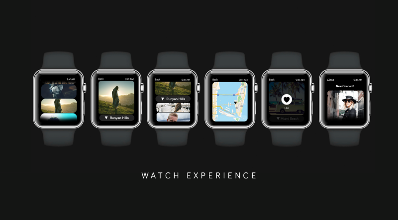 The Looksee app on Apple Watch.