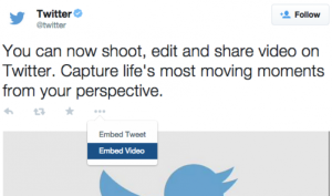 Twitter video embed