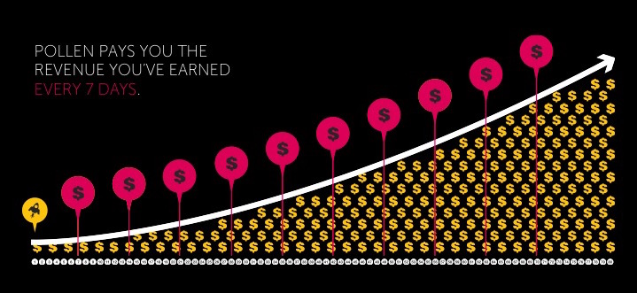 Pollen VC's growth