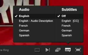 Netflix Audio Description