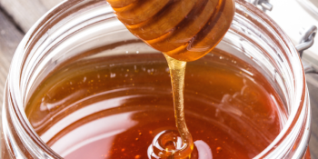 Honey lands a tasty $1M to find the social enterprise sweet spot