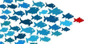 Demographics Pro lets marketers zero in on ‘influencers’