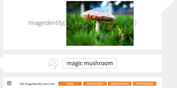How Stephen Wolfram’s image-recognition tool performs against 5 alternatives