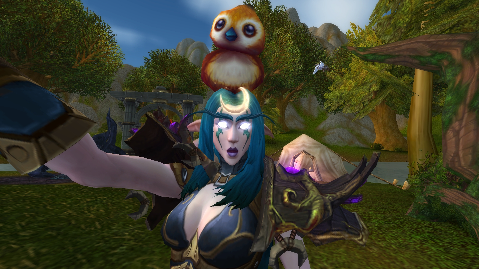 World of Warcraft selfie