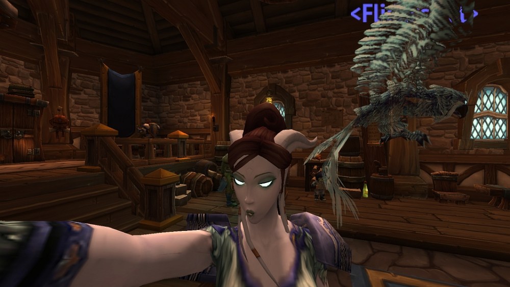 World of Warcraft selfie