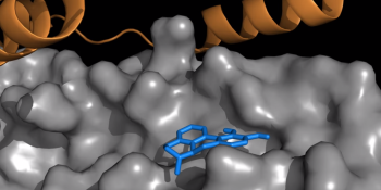 Y Combinator-backed Atomwise scores $6M to use deep learning for drug discovery