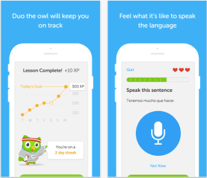 Duolingo