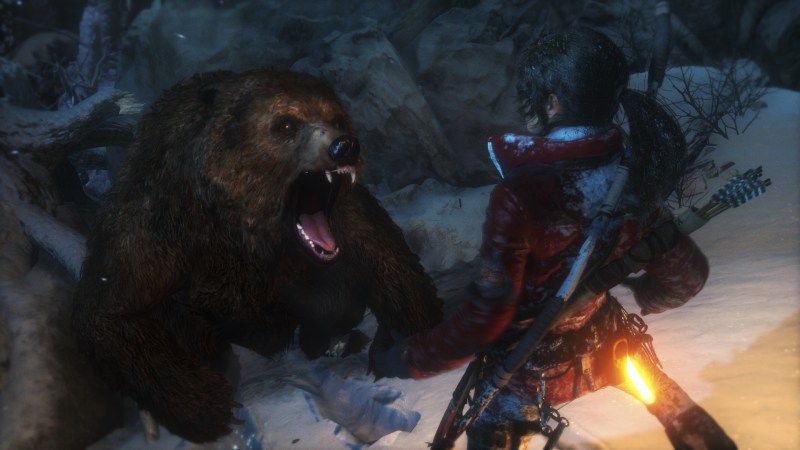 Bear wants Tomb Raider! 