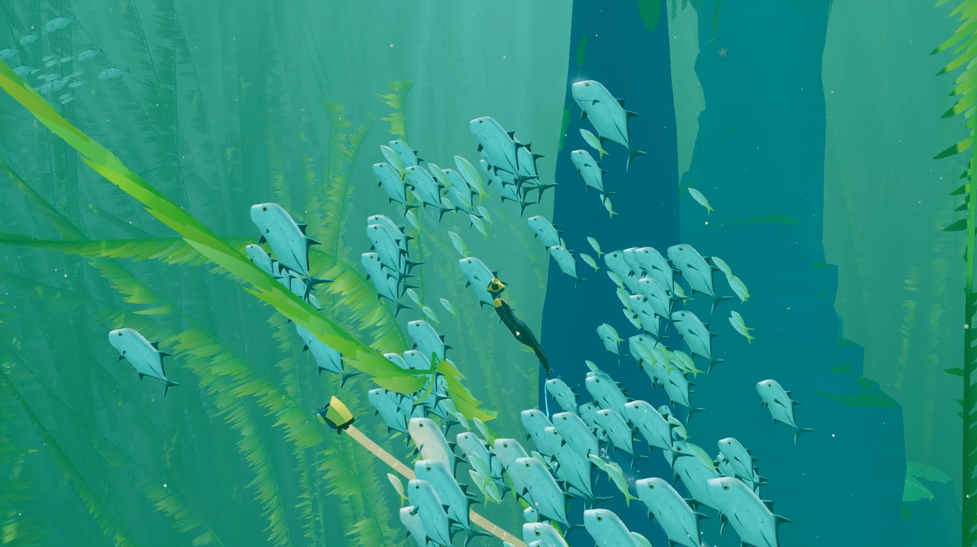 Swimming with schools of fish is as nice as it sounds.