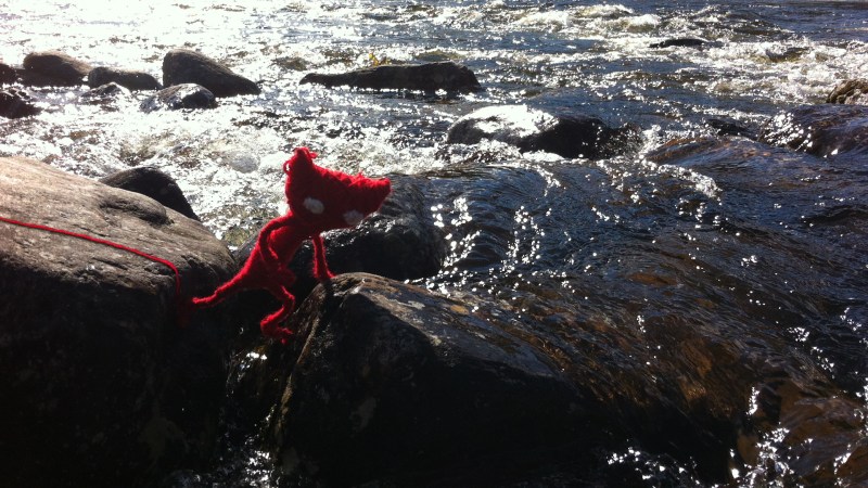 Yarny crossing a river during Sahlin's camping trip.