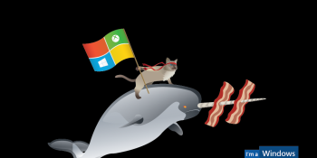 Microsoft releases Ninjacat desktop background images ahead of Windows 10 launch