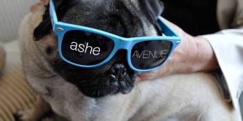 AOL acquires web development company Ashe Avenue