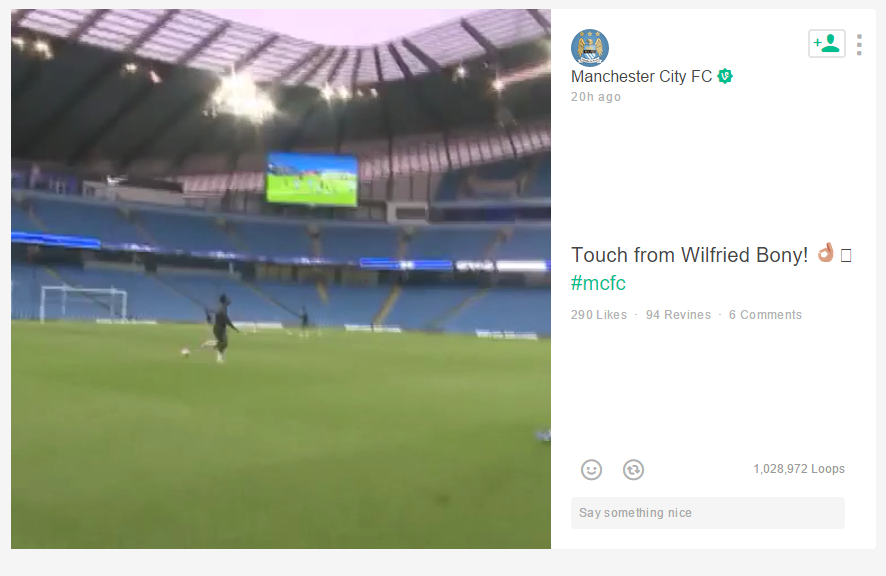 Manchester-City-Wilfried-Bony