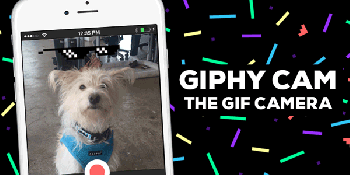 Giphy’s new app transforms your boring selfies into painfully quirky GIFs