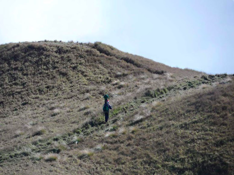 The grassy hillsides of Mount Pulag