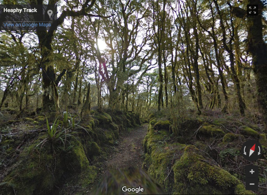 "Wander through an Enchanted Forest on the Heaphy Track."