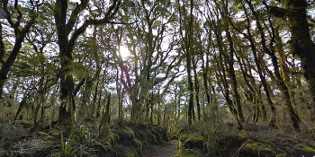 Enter the world of ‘The Lord of the Rings’ with Google’s latest Street View imagery from New Zealand