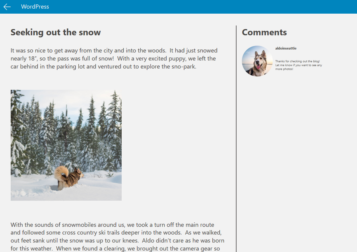 An example of the WordPress template in Microsoft's Windows App Studio.