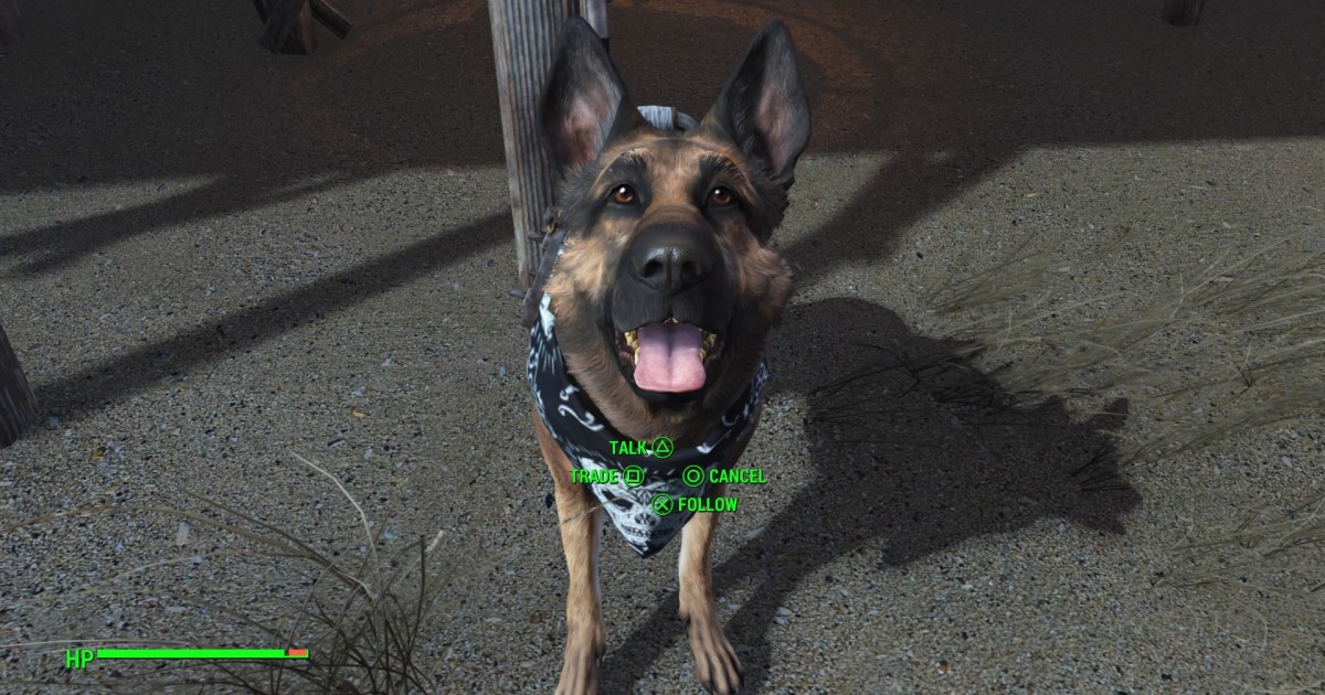 Dogmeat is the only dog in Fallout 4 that won't try to kill you.