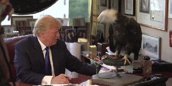 How to stream tonight’s GOP vaudeville show on CNN, no cable required
