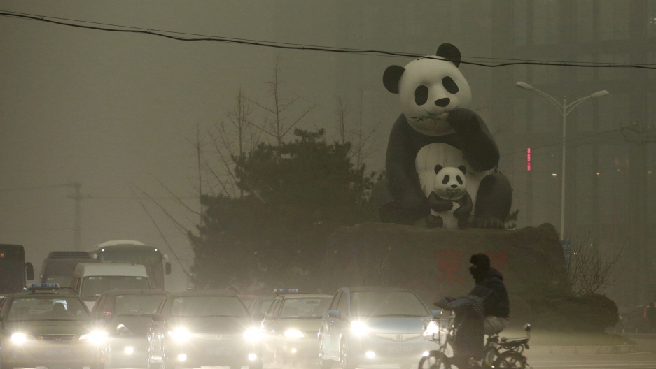 panda-smog