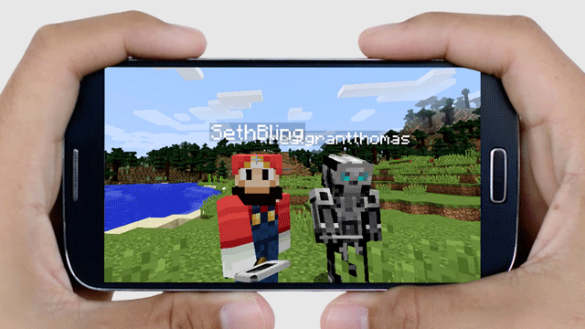 Minecraft selfie!