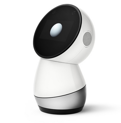 Jibo