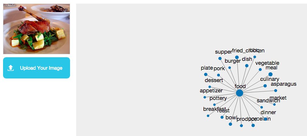 A demonstration of the Orbeus API that was previously available on the startup's website.