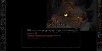 Baldur’s Gate’s expansion adds diversity, and of course some people hate it (update)