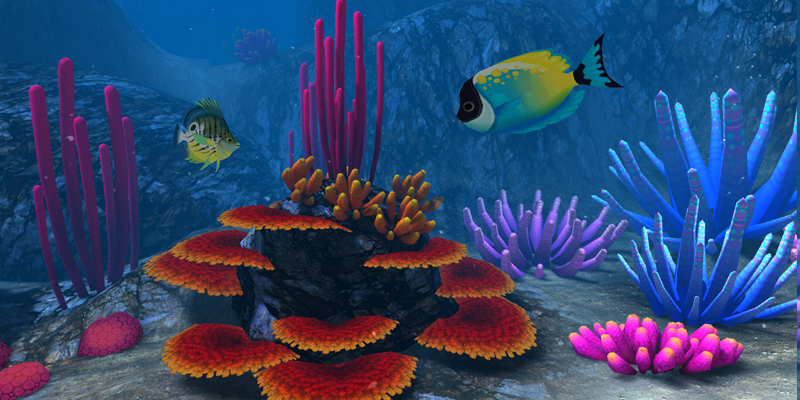 Tropical fish in Ocean Rift