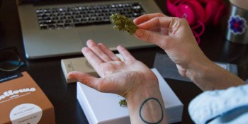 Y Combinator-backed Meadow raises $2.1 million for its cannabis platform