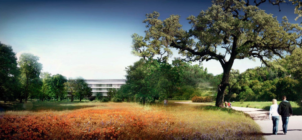 Apple Campus 2 rendering