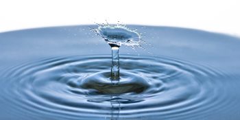 Build a data lakehouse to avoid a data swamp