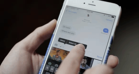 Pasting a GIF into a text from Giphy Keys for iOS.