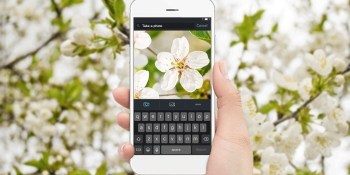 Shutterstock boosts its machine-learning credentials with launch of reverse image search on iOS