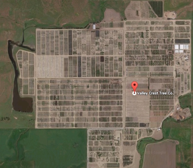 Valley Crest nursery