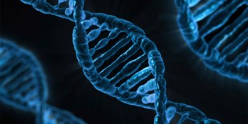 Scientists propose creation of synthetic human genome